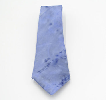 Silk Necktie DF-C  T46