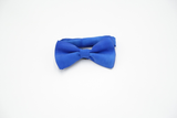 Silk Bow Tie Blue TF-C B21
